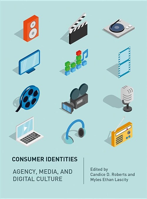 Consumer Identities : Agency, Media and Digital Culture (Hardcover)