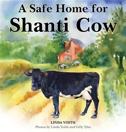 A Safe Home for Shanti Cow (Hardcover)