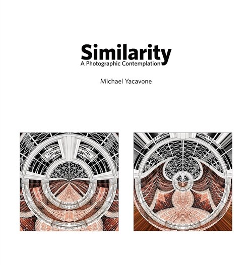 Similarity: A Photographic Contemplation (Hardcover)