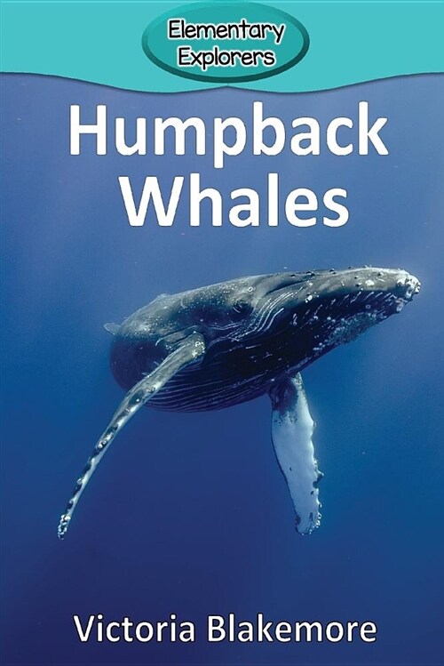 Humpback Whales (Paperback)