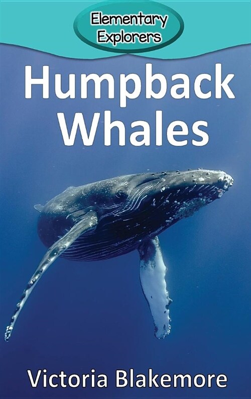 Humpback Whales (Hardcover)