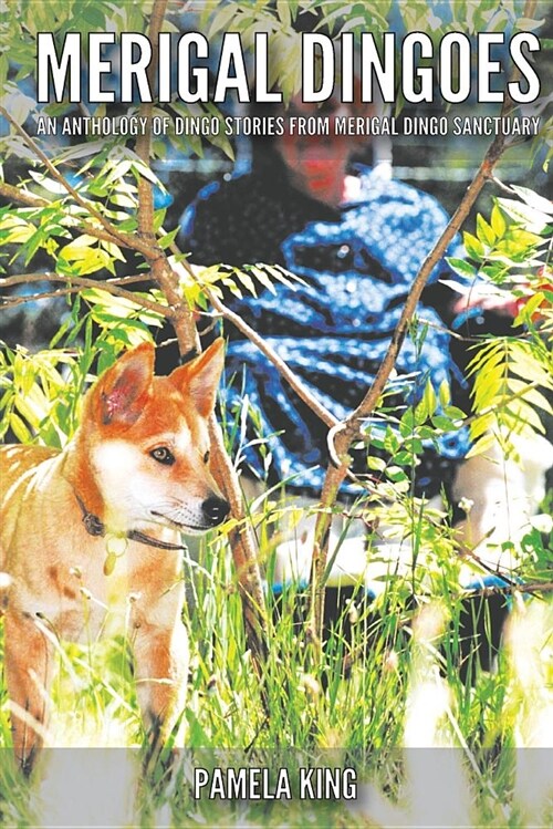 Merigal Dingoes (Paperback)