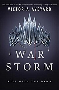 WAR STORM INTERNATIONAL EDITION (Paperback)