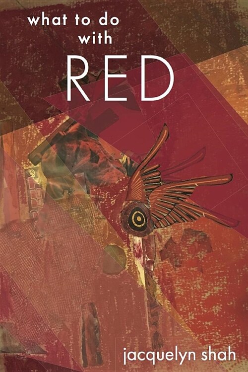 What to Do with Red (Paperback)