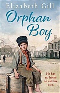 Orphan Boy (Paperback)