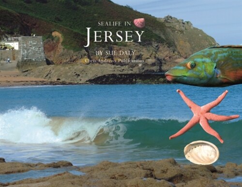 Sealife in Jersey (Hardcover)