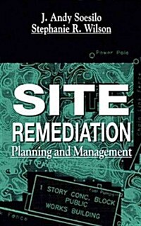 Site Remediation (Hardcover)