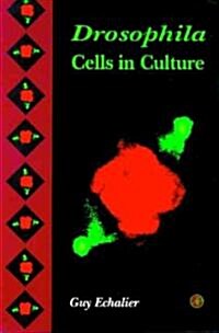 Drosophila Cells in Culture (Hardcover)