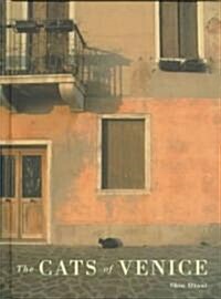 Cats of Venice (Hardcover)