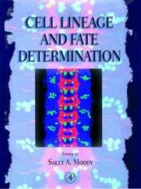 Cell lineage and fate determination [electronic resource]