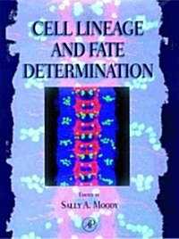Cell Lineage and Fate Determination (Hardcover)