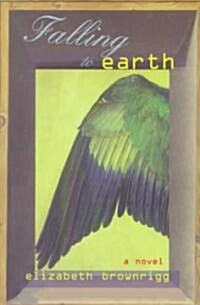 Falling to Earth (Paperback)