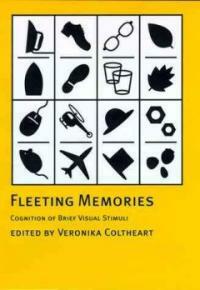 Fleeting memories: cognition of brief visual stimuli