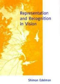 Representation and recognition in vision
