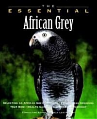 The Essential African Grey (Paperback)