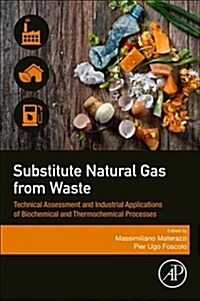 Substitute Natural Gas from Waste: Technical Assessment and Industrial Applications of Biochemical and Thermochemical Processes (Paperback)