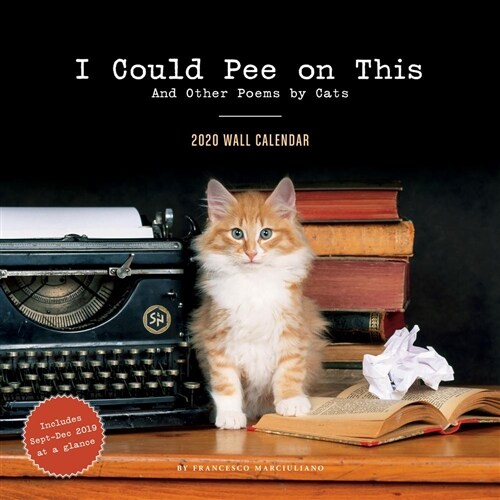 I Could Pee on This 2020 Wall Calendar: (funny 2020 Wall Calendars, Cat Calendars 2020, Cat Gifts for Cat Lovers) (Wall)