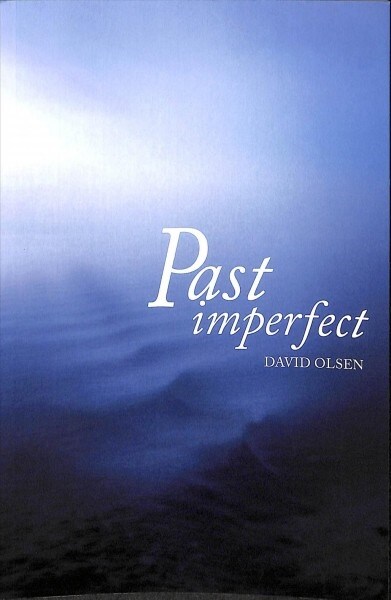 Past Imperfect (Paperback)