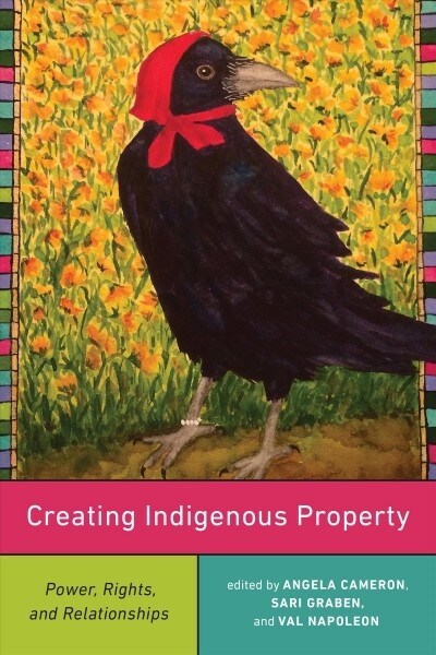 Creating Indigenous Property: Power, Rights, and Relationships (Paperback)
