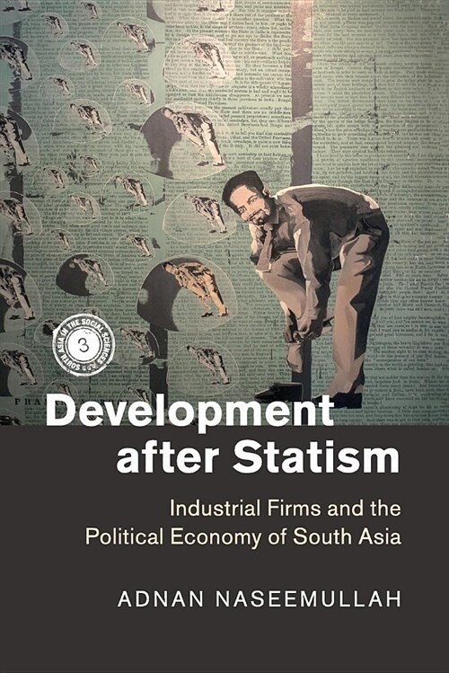 Development after Statism : Industrial Firms and the Political Economy of South Asia (Paperback)