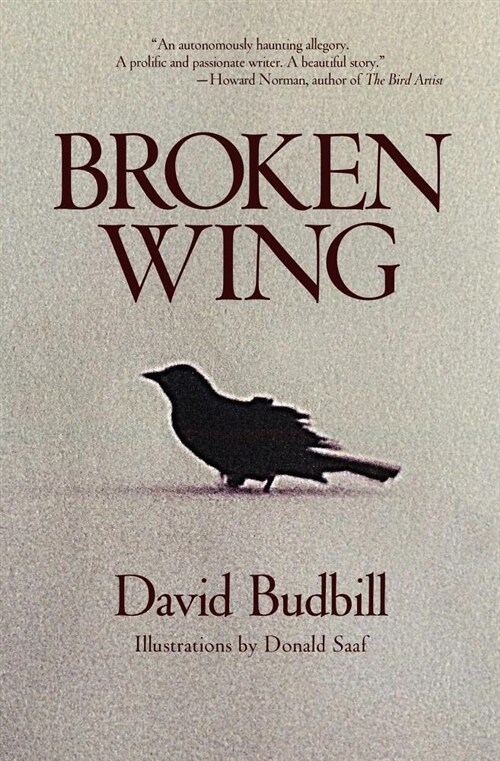 Broken Wing (Paperback)