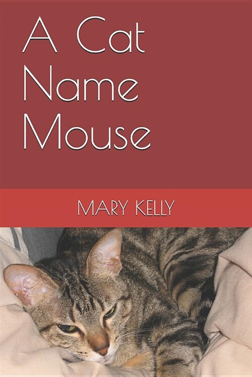 A Cat Name Mouse (Paperback)