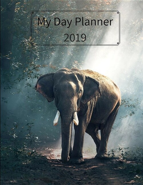 My Day Planner 2019 (Paperback)