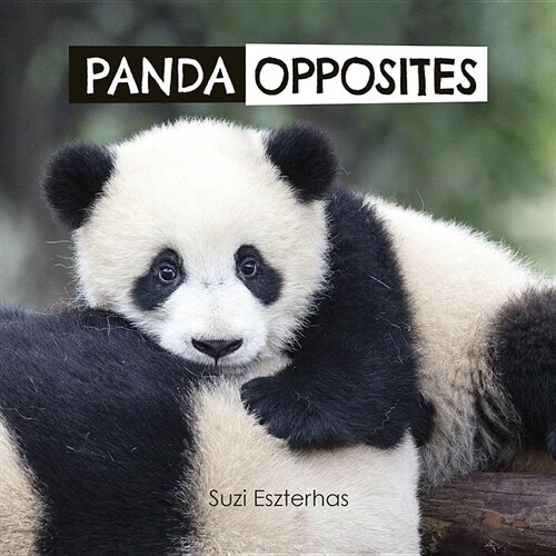 Panda Opposites (Board Books)