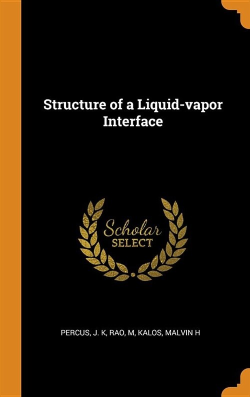 Structure of a Liquid-Vapor Interface (Hardcover)