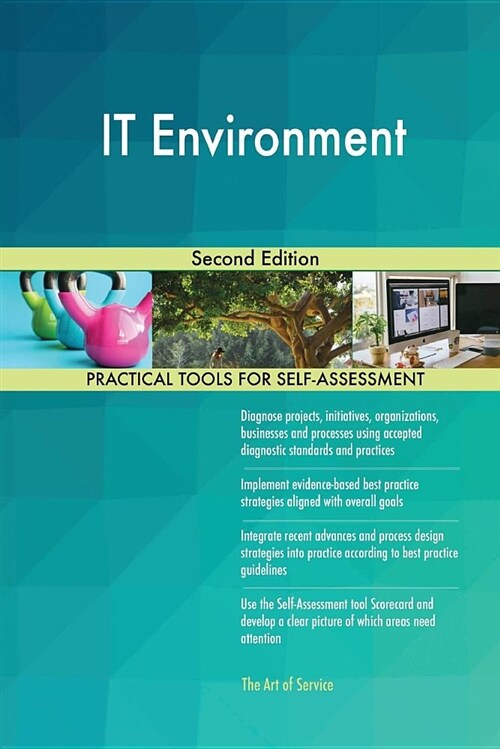 It Environment Second Edition (Paperback)
