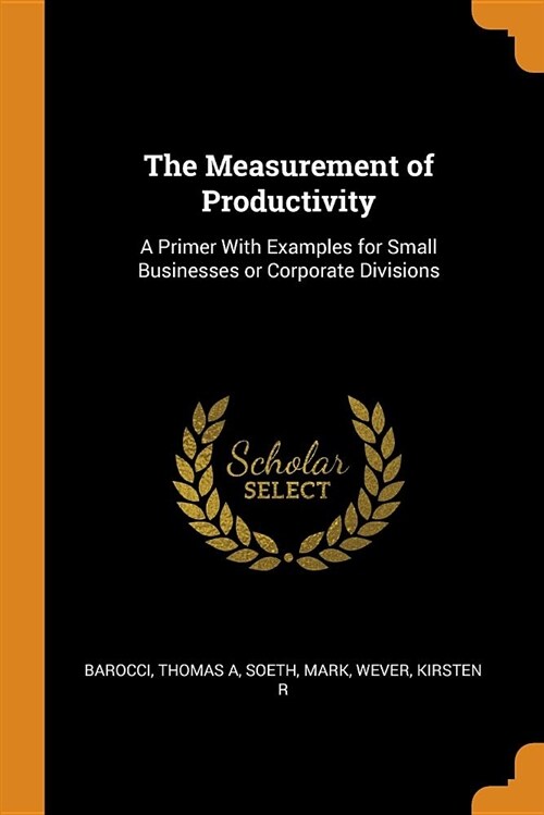 The Measurement of Productivity: A Primer with Examples for Small Businesses or Corporate Divisions (Paperback)