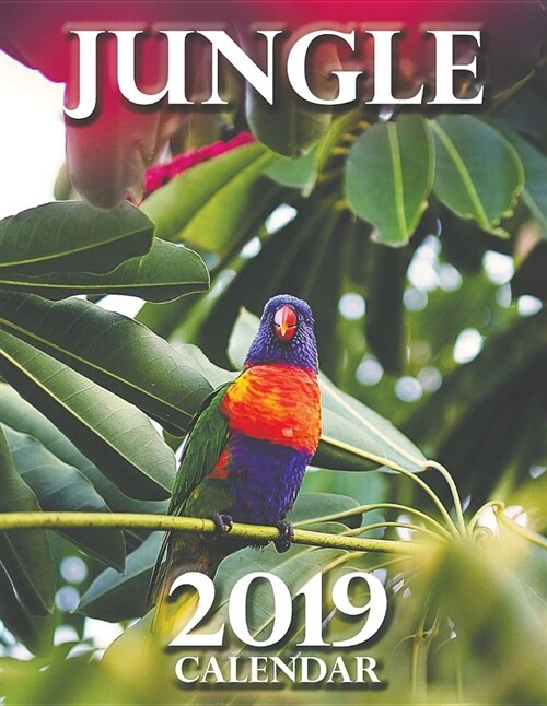 Jungle 2019 Calendar (Paperback)