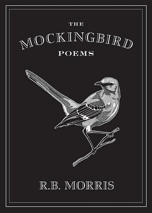 The Mockingbird Poems (Paperback)