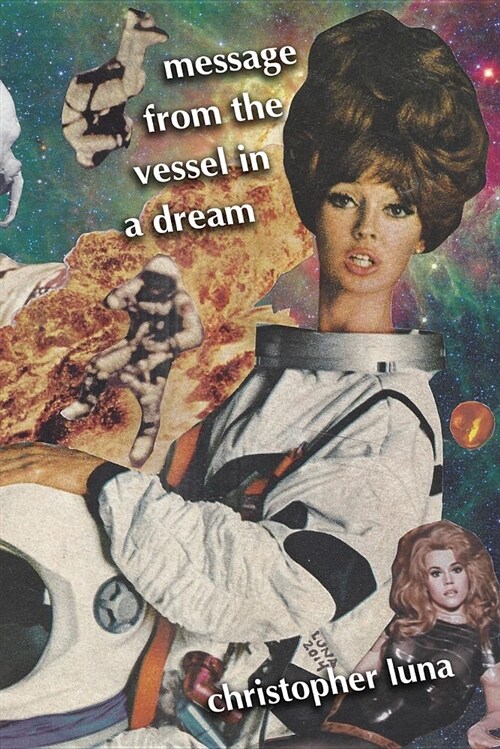 Message from the Vessel in a Dream (Paperback)