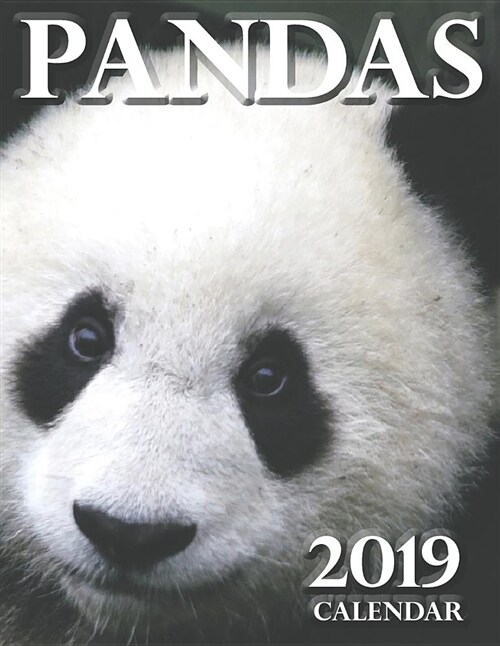 Pandas 2019 Calendar (Paperback)