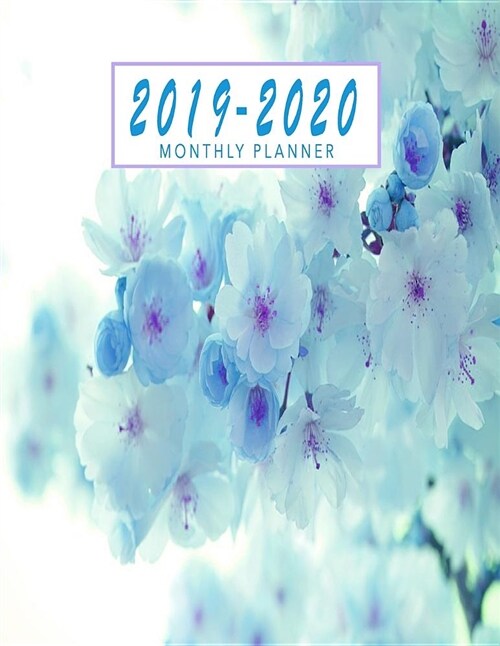 2019-2020 Monthly Planner: Two Year Calendar Planner January 2019 - December 2020 Monthly Planner Schedule Organizer Agenda Planner Floral (Paperback)