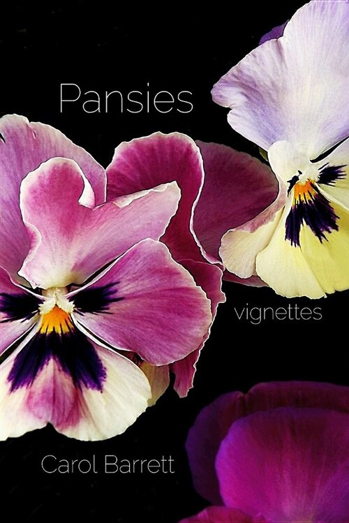 Pansies (Paperback)