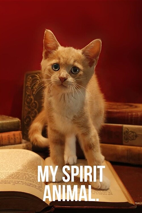 My Spirit Animal: Library Cat Journal (Paperback)