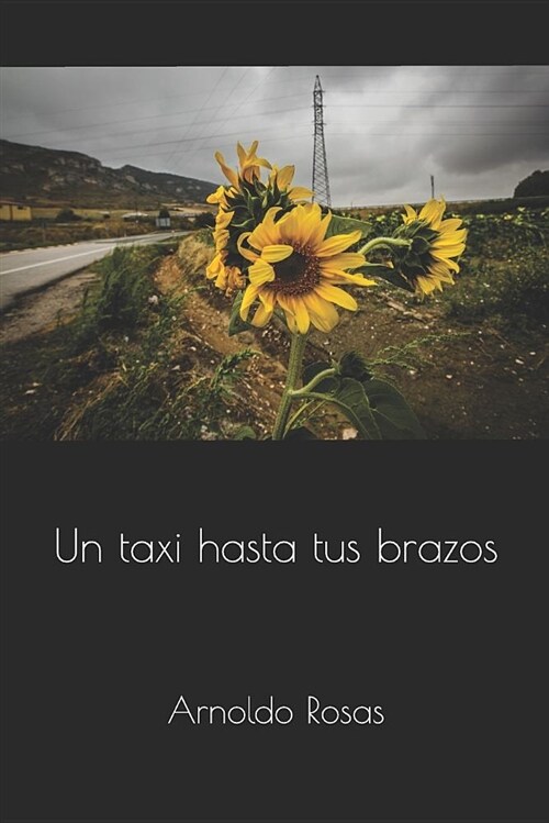 Un Taxi Hasta Tus Brazos (Paperback)