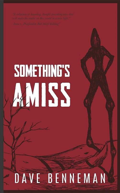 Somethings Amiss: A Short Story Collection (Paperback)