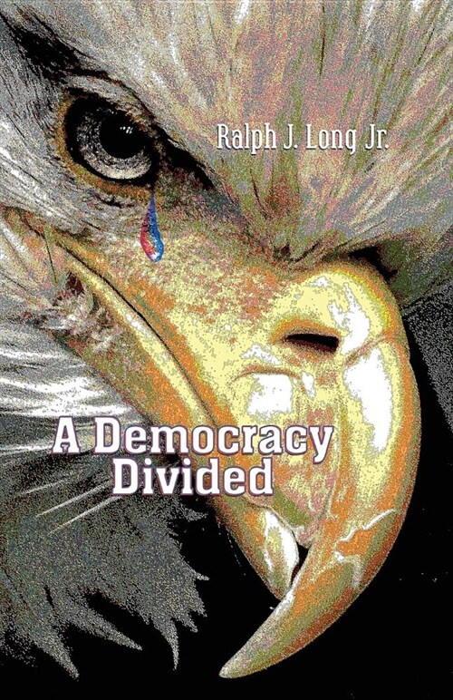 A Democracy Divided (Paperback)