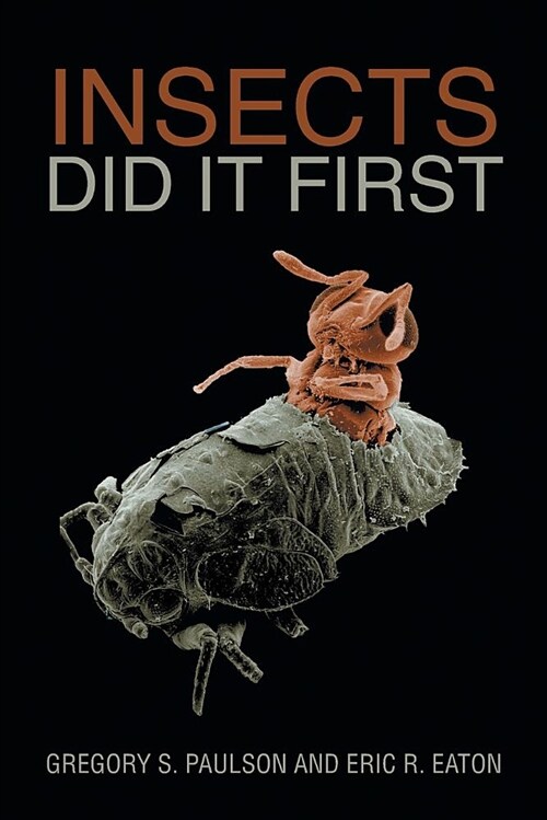 Insects Did It First (Paperback)