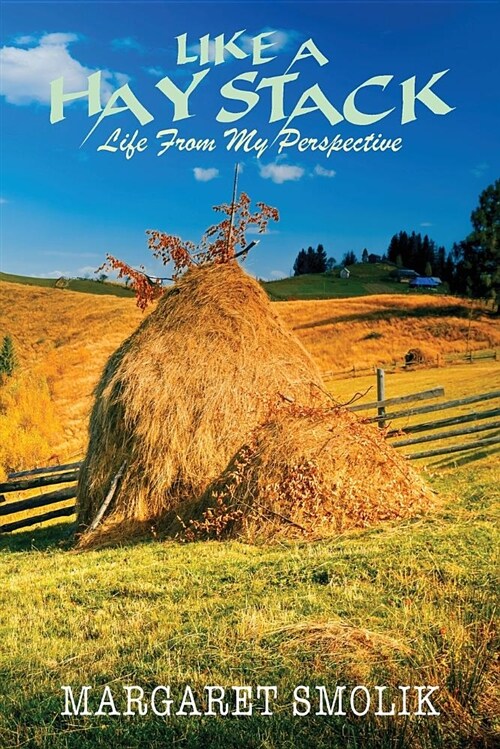 Like a Haystack: Life from My Perspective (Paperback)