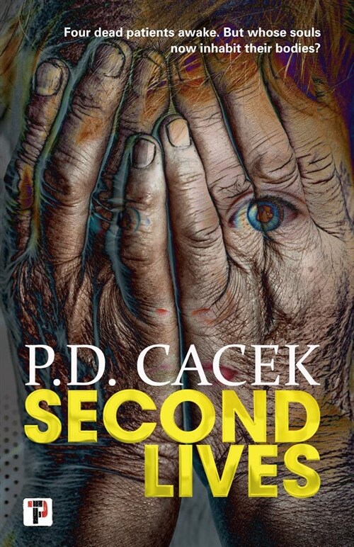 Second Lives (Paperback)