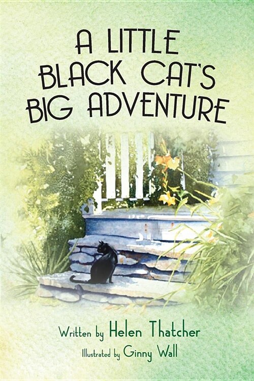 A Little Black Cats Big Adventure (Paperback)