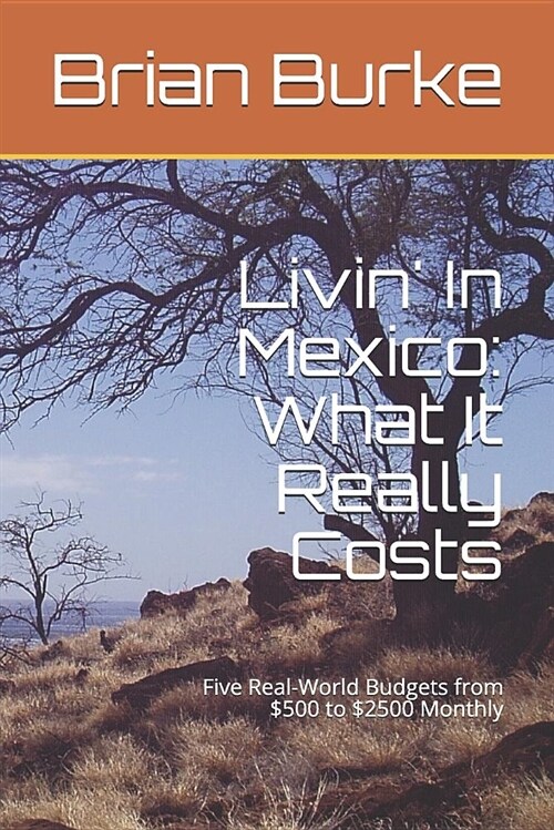 Livin in Mexico: What It Really Costs: Five Real-World Budgets from $500 to $2500 Monthly (Paperback)