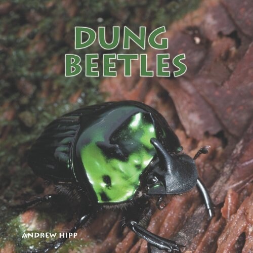 Dung Beetles (Paperback)