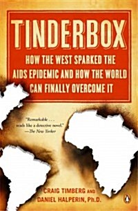 Tinderbox: How the West Sparked the AIDS Epidemic and How the World Can Finally Overcome It (Paperback)
