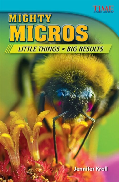 Mighty Micros: Little Things, Big Results: Little Things, Big Results (Challenging Plus) (Paperback, 2)