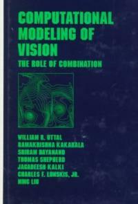 Computational modeling of vision : the role of combination